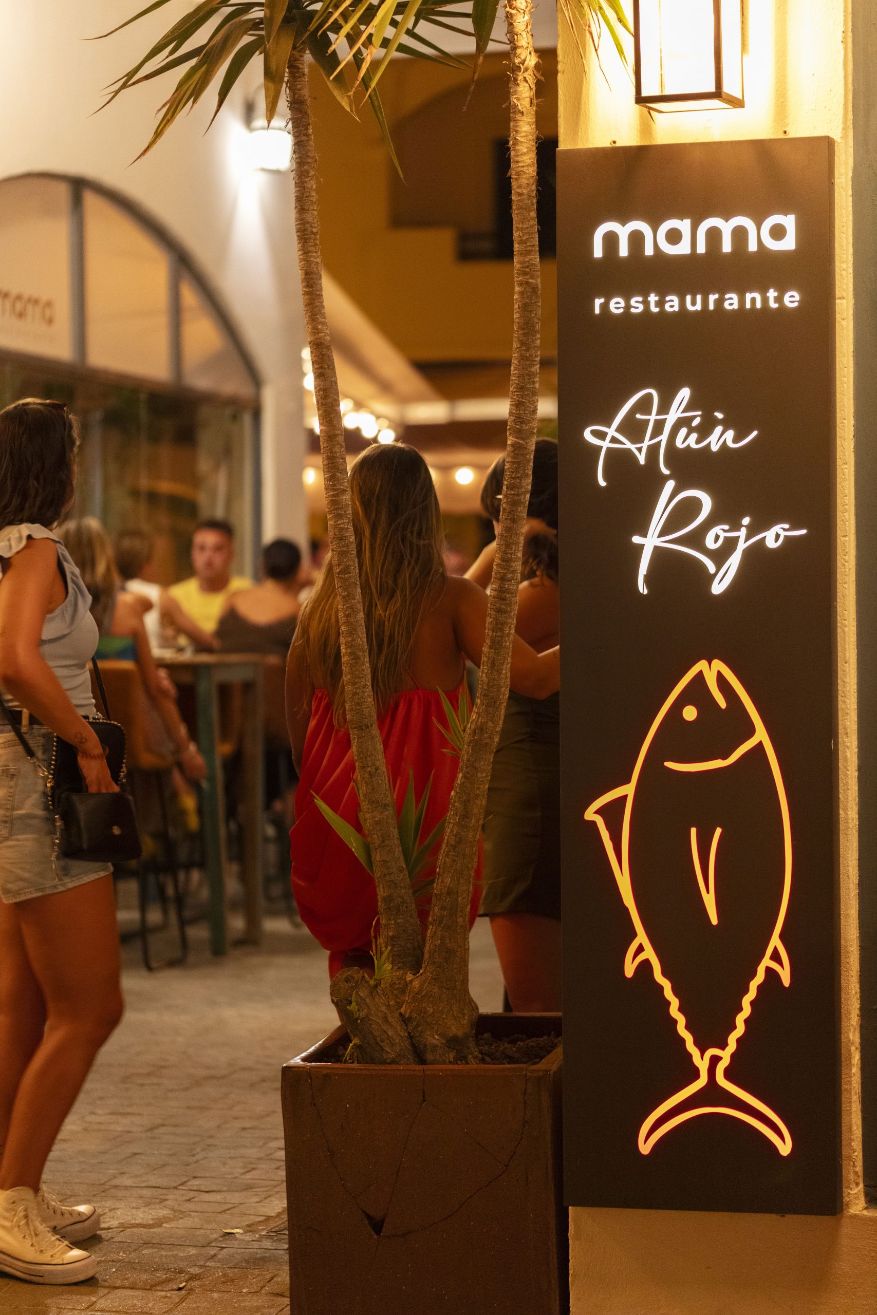 RESTAURANTE_MAMA_CONIL_DE_LA_FRONTERA_RESTAURANTE_NOCHE_006